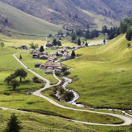 Mirellina - Di Viso *